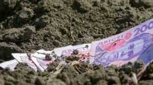 З початку повномасштабного вторгнення в купівлю сільськогосподарської землі інвестували 9,5 млрд грн