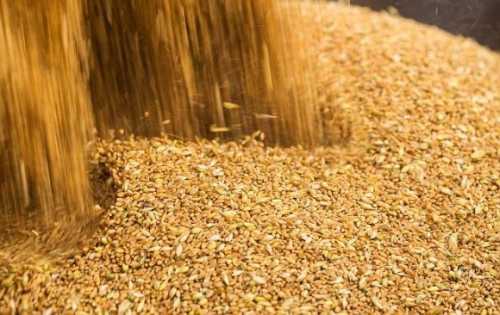 Україна готова прийняти систему ліцензування експорту агропродукції до Польщі, щоб вирішити проблеми з експортом сільськогосподарської продукції, повідомив міністр аграрної політики України Микола Сольський. Україна згодна на ліцензування експорту до Польщі, але тільки для чотирьох видів агропродукції, – Сольський - INFBusiness