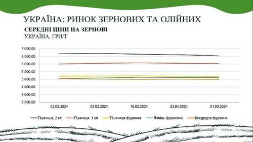 Згідно з інформацією, що міститься у звіті AgroMarket UUB від Української універсальної біржі, на ринку пшениці, кукурудзи та олійних культур лютий перебував у відносному стані спокою. Проте все ж тенденція до зниження за деякими напрямками прослідковувалася. В AgroMarket UUB опублікували аналітичний звіт ринку зернових та олійних за лютий 2024 року - INFBusiness
