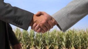 Можна очікувати зростання вартості сільгоспземель завдяки участі юридичних осіб в ринку землі, – KSE Агроцентр