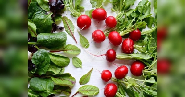 Овочі є цінним джерелом вітамінів, мінералів, харчових волокон та антиоксидантів, тобто поживних речовин, необхідних для здорового харчування. Навесні, коли природа пробуджується до життя, з'являються перші сезонні плоди, на які варто звернути увагу, щоб урізноманітнити щоденне меню новими продуктами, що містять цінні поживні речовини. Які овочі та фрукти їсти навесні — розповіли у виданні Wygodna dieta. Які овочі обов’язково варто їсти навесні, щоби бути здоровим - INFBusiness