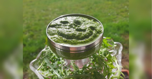 Соус із руколи: ідеальний для салатів та м'ясних страв - INFBusiness