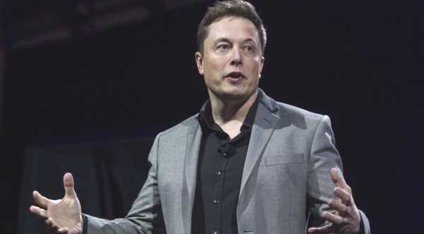 Ілон Маск розробить інструмент ШІ для фермерів - INFBusiness