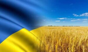 ЄС посилить перевірки перевізників, які вивозять зерно з України, – єврокомісар