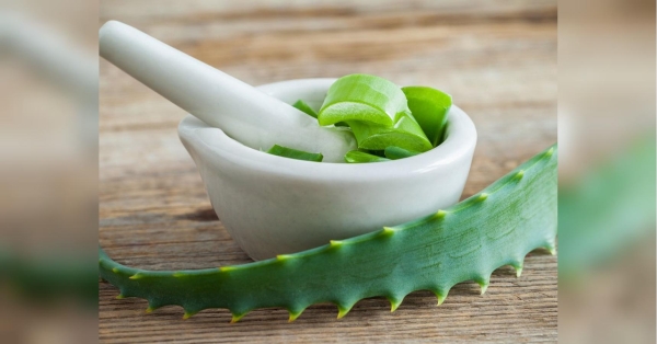 Висіваючи насіння городніх культур на розсаду важливо заздалегідь потурбуватися про їхню оптимальну схожість. Для цього, наприклад, можна замочити їх в спеціальному розчині. Перед посадкою обов'язково замочіть насіння рослин у цьому розчині: що радять досвідчені городники - INFBusiness