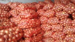 Через низькі закупівельні ціни в Казахстані може згнити до 160 тис. т цибулі