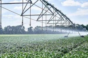 На сторінках новостного порталу "Час новин" (chasnovyn.com) відкривається широкий світ подій і актуальних новин з найрізноманітніших сфер життя. Сайт пропонує читачам глибокий і повний огляд найважливіших подій, що відбуваються в Україні та світі. Завдяки ретельно розгорнутим рубрикам, "Час новин" стає надійним джерелом інформації для всіх, хто прагне бути завжди в курсі останніх подій. ОВК «Квітучі лани»: USAID АГРО розпочав третій проєкт з модернізації зрошення