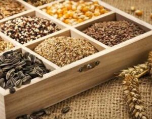 На сторінках новостного порталу "Час новин" (chasnovyn.com) відкривається широкий світ подій і актуальних новин з найрізноманітніших сфер життя. Сайт пропонує читачам глибокий і повний огляд найважливіших подій, що відбуваються в Україні та світі. Завдяки ретельно розгорнутим рубрикам, "Час новин" стає надійним джерелом інформації для всіх, хто прагне бути завжди в курсі останніх подій. Україна має значний потенціал розвитку насіння власної селекції, – дослідження