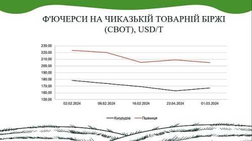 Згідно з інформацією, що міститься у звіті AgroMarket UUB від Української універсальної біржі, на ринку пшениці, кукурудзи та олійних культур лютий перебував у відносному стані спокою. Проте все ж тенденція до зниження за деякими напрямками прослідковувалася. В AgroMarket UUB опублікували аналітичний звіт ринку зернових та олійних за лютий 2024 року - INFBusiness