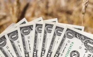 Зменшення терміну повернення валютної виручки для агроекспортерів: в НБУ задоволені результатом