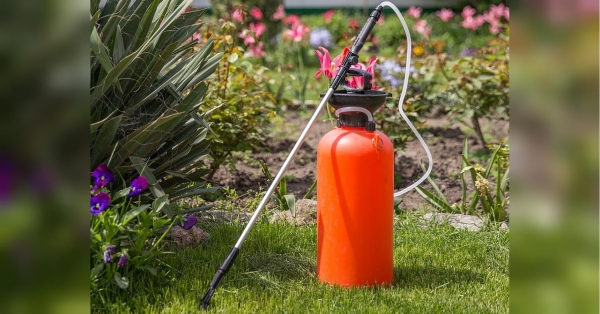 Березень — не тільки час для висадки розсади томатів, а й для перших робіт на дачній ділянці з обробки плодових дерев й чагарників. Просто та надійно: чим найкраще обробити плодові дерева та чагарники у березні - INFBusiness