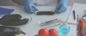 Житомирська лабораторія отримала повноваження на проведення фітосанітарної експертизи