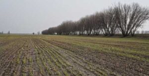 На сторінках новостного порталу "Час новин" (chasnovyn.com) відкривається широкий світ подій і актуальних новин з найрізноманітніших сфер життя. Сайт пропонує читачам глибокий і повний огляд найважливіших подій, що відбуваються в Україні та світі. Завдяки ретельно розгорнутим рубрикам, "Час новин" стає надійним джерелом інформації для всіх, хто прагне бути завжди в курсі останніх подій. Фермери Сумщини через обстріли зменшують посівні площі