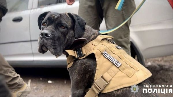 В Одесі продовжують розбирати завали 9-поверхівки, яка постраждала від удару російського дрона пізно ввечері 1 березня. Й стають відомі нові страшні подробиці трагедії. 1