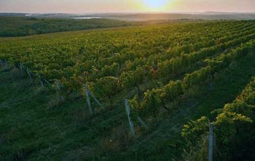 Уряд вдосконалив механізм програми єРобота для аграріїв. Держава покриває 70% вартості проєкту, решту (30%) фінансує підприємець. єРобота: уряд вдосконалив механізм програми для аграріїв - INFBusiness