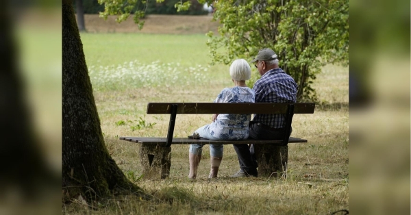 Не тільки безоплатний проїзд: якими пільгами можуть користуватися пенсіонери у 2024 році - INFBusiness