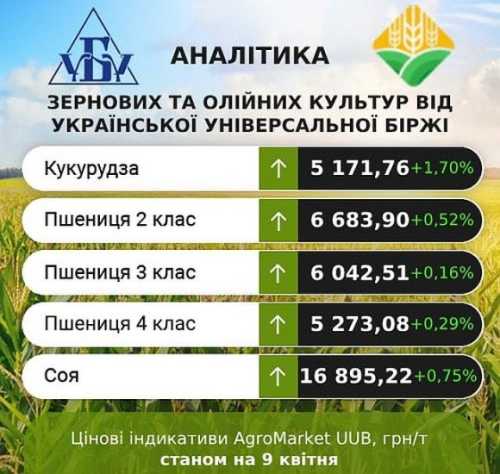 В AgroMarket UUB від Української універсальної біржі оновлено підсумки за період 3-9 квітня. Ринок сільгосппродукції: минулого тижня ціни дещо підвищились - INFBusiness