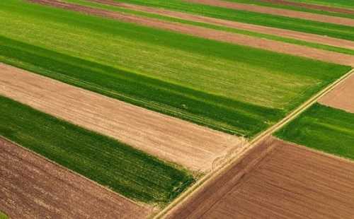 Спеціальна антикорупційна прокуратура (САП) повідомила про підозру міністру аграрної політики та продовольства Миколі Сольському у заволодінні землею на Сумщині. Мова йде про угіддя площею близько 2,5 тис. га вартістю 291 млн грн та спробу заволодіння землею на близько 3,3 тис. га на 190 млн грн. Земельні схеми: в чому підозрюють міністра агрополітики - INFBusiness