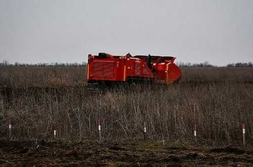 Логістика, знищена техніка та заміновані поля – з чим стикаються миколаївські аграрії - INFBusiness