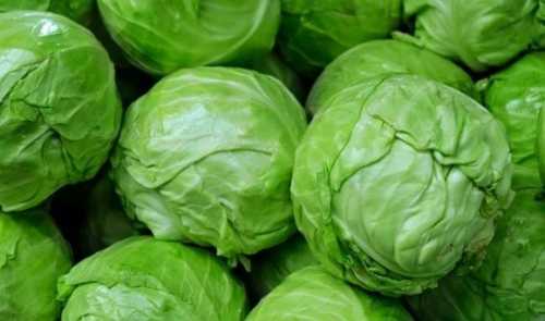 На українському ринку з’явилися перші, поки ще невеликі партії молодої білоголової капусти. Цього року початок сезону ранньої капусти відбувся приблизно в ті ж терміни, що й рік тому. Частково це стало можливим завдяки досить м’якій зимі і досить гарній весняній погоді. На ринку з’явились перші партії вітчизняної ранньої капусти - INFBusiness