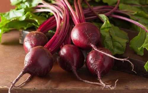 Господарства почали активно продавати столовий буряк - INFBusiness