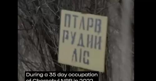 Світ зобов’язаний тиснути на Росію так, щоб ЗАЕС була звільнена, - Зеленський - INFBusiness