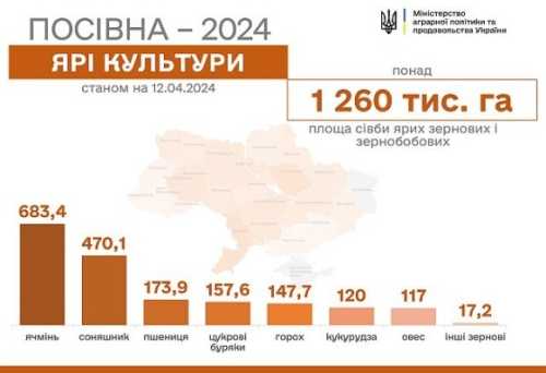 На контрольованій Україною території вже засіяно 1 млн 260 тис. га зернових та зернобобових культур. За минулий тиждень засіяно понад 400 тис. га зернових та зернобобових - INFBusiness
