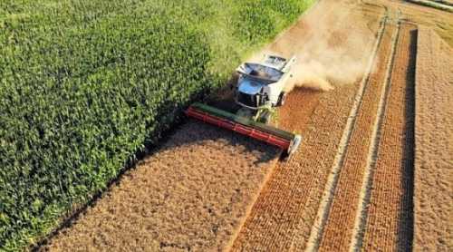 З початку 2024 року 5 200 агрогосподарств отримали 34 млрд гривень банківських кредитів на розвиток. З них за державною програмою «Доступні кредити 5-7-9» – 2 936 господарств профінансовано на 13 млрд гривень. Доступні кредити: з початку року профінансовано 2936 агропідприємств - INFBusiness