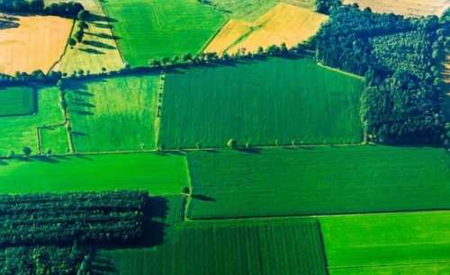 ДПС у Дніпропетровській області роз’яснила, в якому році будуть враховані суми сплачених ПДФО та військового збору (далі – податки) з доходів від продажу власної сільськогосподарської продукції, отриманих у податковому (звітному) році фізичною особою, власником сільськогосподарських угідь, в розрахунку річного податкового зобов’язання у зменшення суми загального МПЗ, якщо податки було сплачено у наступному за податковим (звітним) роком. В ДПС роз’яснили, як визначається МПЗ для фізособи-землевласника - INFBusiness