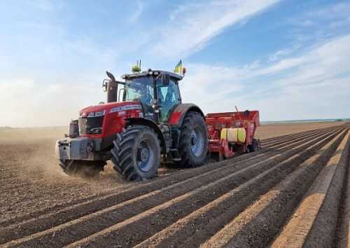 У агробізнесі МХП з’явився новий напрям – овочівництво - INFBusiness