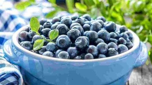 Компанія «Органічний сад» розширила можливості для зберігання лохини вдвічі - INFBusiness