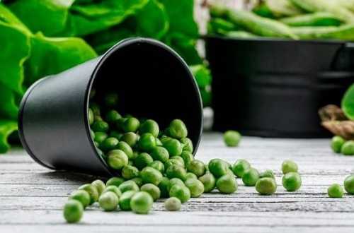 Вирощування, переробка та експорт гороху буде збільшуватись, – Антоніна Скляренко - INFBusiness