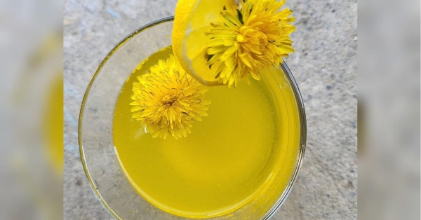 Корисний лимонад з кульбаб: як приготувати весняний напій, що позитивно впливає на психіку - INFBusiness