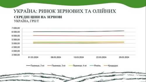 В AgroMarket UUB опублікували аналітичний звіт ринку зернових та олійних за березень - INFBusiness