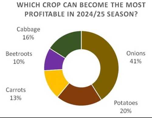 Команда EastFruit провела анонімне опитування у своєму Телеграм-каналі щодо того, яка культура, на думку учасників ринку, може стати найбільш прибутковою в сезоні 2024/25 років. Опитування проводилося без прив’язки до конкретного регіону, але основа читачів каналу – це учасники ринку з України, Молдови, Узбекистану, Грузії та Таджикистану. Загалом в опитуванні взяло участь понад 400 осіб, з яких 275 обрали одну з названих культур. Фермери впевнені, що в новому сезоні вдасться заробити на цибулі, – опитування - INFBusiness