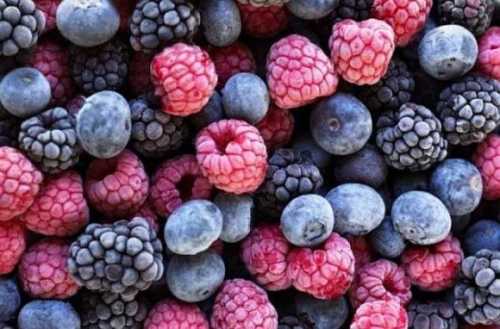 Наслідки перших заморозків для лохини та малини: не все так страшно - INFBusiness