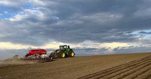 Посівні площі на Херсонщині цьогоріч збільшилися в чотири рази - INFBusiness