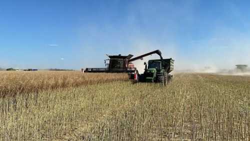 Минулого року на полях Групи АГРОТРЕЙД зібрали понад 255 тисяч тонн зернових та олійних культур. У 2023 році Група АГРОТРЕЙД зібрала понад 255 тис. т зернових та олійних - INFBusiness