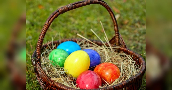 Готуємося до Великодня: оригінальний спосіб фарбування яєць - INFBusiness