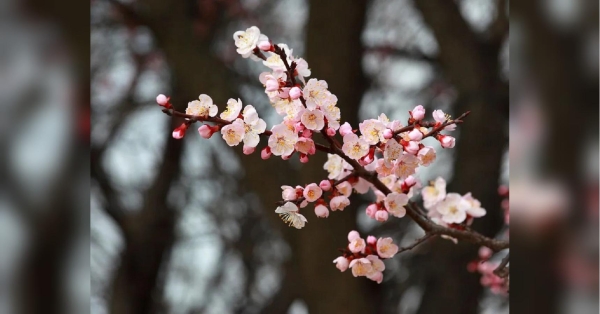 Астрологи назвали п'ять знаків зодіаку, життя яких у квітні перевернеться «з ніг на голову» - INFBusiness