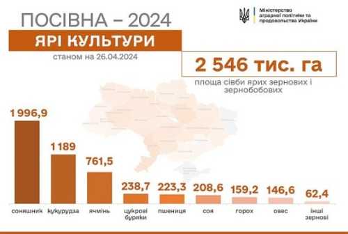 Ярими культурами засіяно вже понад 2,5 млн га - INFBusiness