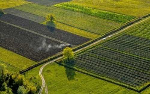 Волочиська окружна прокуратура у судовому порядку повернула у комунальну власність земельні ділянки загальною площею 300 га. Їх вартість становить понад 1 млрд 11 млн грн. Підсобне господарство на 1 млрд грн: на Хмельниччині повернули громаді 300 га землі - INFBusiness