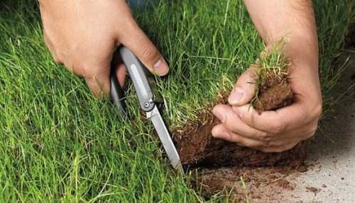 Верховна Рада прийняла зміни до Бюджетного кодексу, якими врегулювала розподіл 12% від нормативної грошової оцінки землі, які будуть стартовою ціною на аукціонах з передачі земель в оренду. Парламент вирішив збільшити доходи бюджету завдяки Земельному банку - INFBusiness