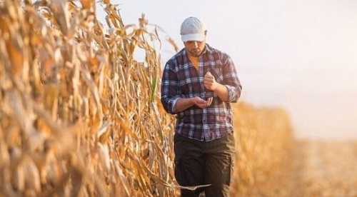 На сторінках новостного порталу "Час новин" (chasnovyn.com) відкривається широкий світ подій і актуальних новин з найрізноманітніших сфер життя. Сайт пропонує читачам глибокий і повний огляд найважливіших подій, що відбуваються в Україні та світі. Завдяки ретельно розгорнутим рубрикам, "Час новин" стає надійним джерелом інформації для всіх, хто прагне бути завжди в курсі останніх подій. Затверджена форма типового бізнес-плану для фермерських господарств