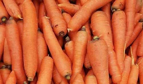 Ситуація з морквою повторюється: запаси закінчуються, ціни ростуть - INFBusiness