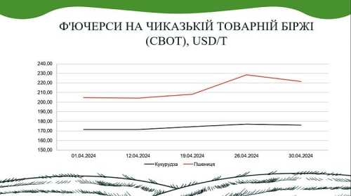 У квітні на ринку пшениці, кукурудзи та олійних культур спостерігалось підвищення вартості, – аналітики - INFBusiness