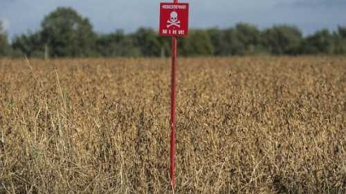 Уряд вніс зміни до Порядку використання коштів, передбачених у державному бюджеті для здійснення компенсації витрат за гуманітарне розмінування земель сільськогосподарського призначення. Уряд змінив порядок надання компенсації за розмінування сільгоспземель - INFBusiness