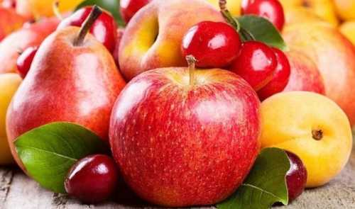 За інформацією Державної служби статистики, виробництво плодово-ягідної продукції в Україні у 2023 році становило 1 996 тис. т, не змінившись у порівнянні з попереднім роком. В розрізі товарних груп спостерігалось незначне збільшення по зерняткових, деяке зниження щодо кісточкових, тоді як для ягід і горіхів змін фактично не відбулось. За час повномасштабної війни виробництво фруктів в Україні знизилось всього на 10% - INFBusiness