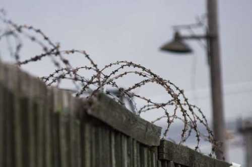 Кабінет Міністрів передав Фонду державного майна сільськогосподарське підприємство Кримінально-виконавчої служби Мін’юсту. Відповідне рішення уряд ухвалив на засіданні у п'ятницю, 10 травня. Фонду держмайна доручили управляти сільськогосподарським підприємством, на якому працюють засуджені - INFBusiness