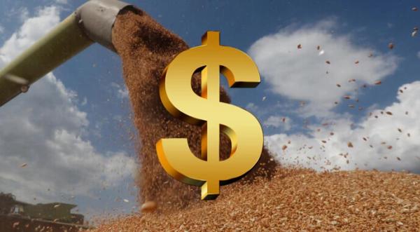 Експорт українського зерна впритул наблизився до торішнього показника - INFBusiness